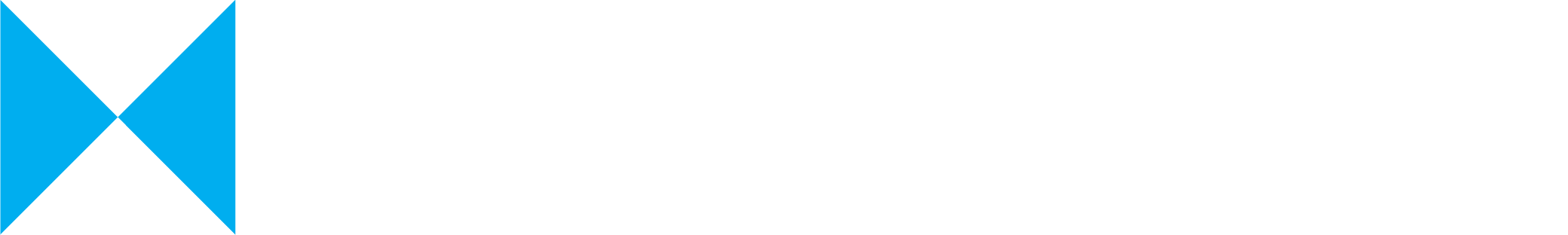 Moore Salzburg Logo (white)