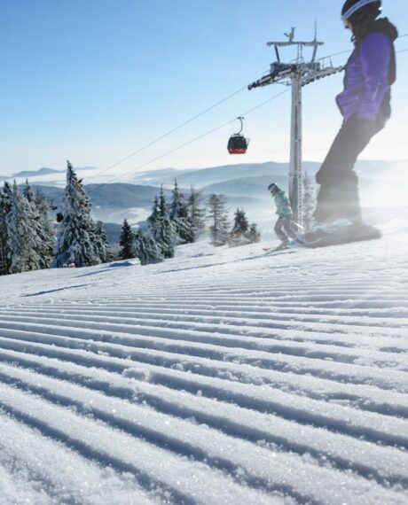 Branchen - Transport, Logistik, Seilbahnen